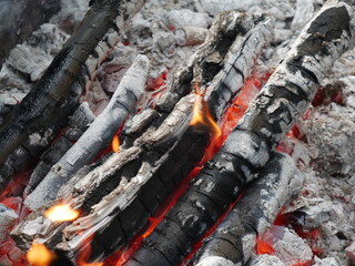 fire in the fireplace