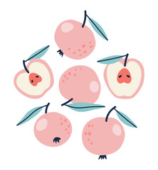 Vector illustration of a pink apple and half of pink apple isolated on a white background. Hand-drawn vector apple set. Fruit illustration for web and print design. Flat.