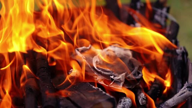 Flames of bonfire. Beautiful red forks of flame. Burnt wood. Power of fire.