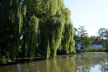 Fototapete bei efototapeten.de bestellen   