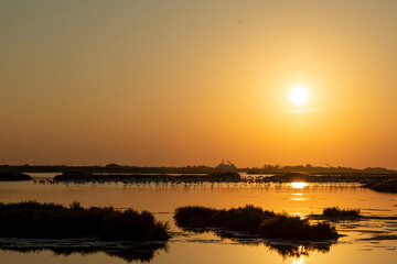 Fenicotteri al tramonto #2