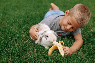 A little blond boy feeds a Sislow rabbit. A child with a rabbit lies on the green grass. Caring for a pet.