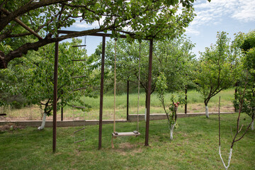 swing on ropes in green garden