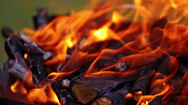 A bonfire burns. Close-up of flames. Summer evening. Selective focus. Video.