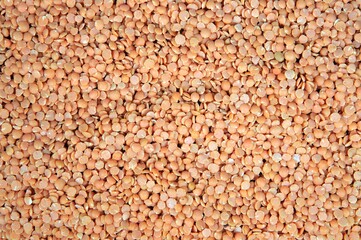 Close up of red lentils.
