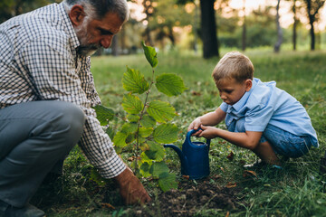 boy with his grandfather planting a tree in the city park