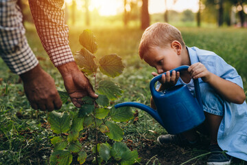 boy with his grandfather planting a tree in the city park
