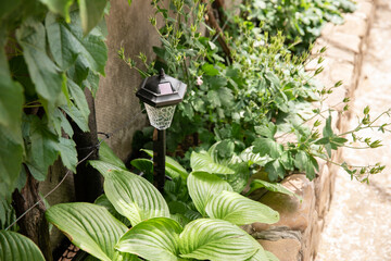 Small Solar Garden Light, Lanterns In Flower Bed. Garden Design. Solar Powered Lamp
