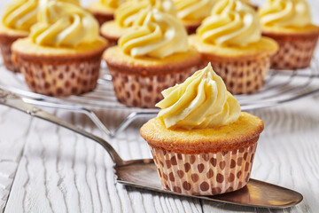 cupcake on a cake shovel, top view