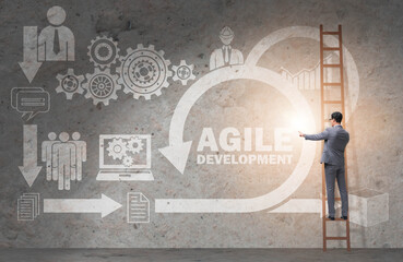 Concept of agile software development