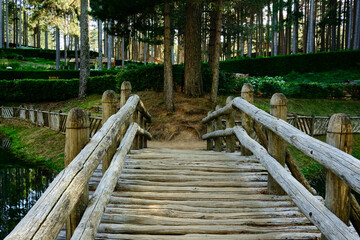 Un particolare del ponte di legno nel Parco Nazionale della Sila Piccola, Calabria, Italia