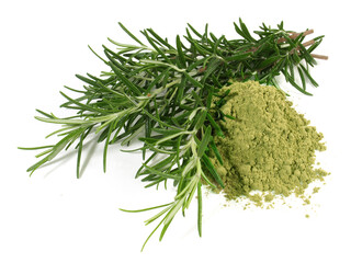 Fresh Rosemary with Powder isolated on white Background
