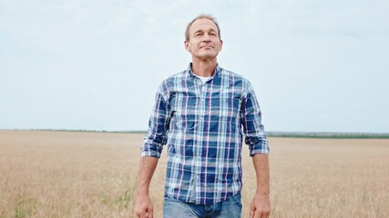 Smiling cute farmer man in the middle of the wheat field feeling good walking in front of the camera. Shot on ARRI Alexa Mini.