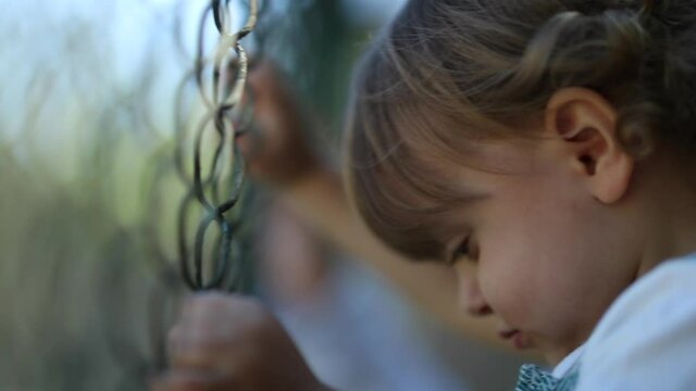 Toddler boy shaking metal fence, Child holding into gate