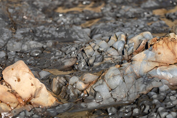 ocean rocks