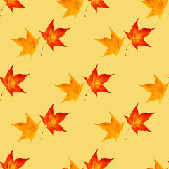 Fototapeta premium A pattern of yellow and red maple leaves is set against a yellow background. Autumn concept