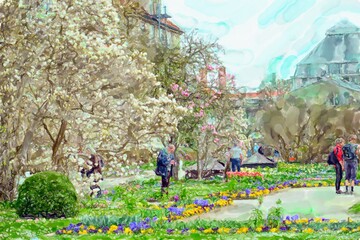 Obrazy  Akwarela ilustracja ogrodu botanicznego w Monachium. Czas kwitnienia wiśni.