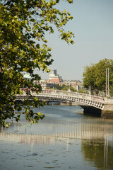 Naklejka premium The Ha'penny bridge in Dublin City, Ireland