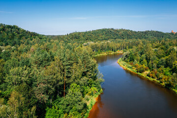 Fototapeta na wymiar Gauja National Park. Green forest and river in Sigulda, Latvia