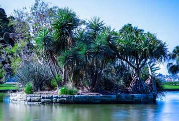 Day long exposure of a Pond in botanical gardens Sydney Australia