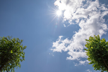 blue sky. white clouds. green leaves and tree branches. two green crown trees in the frame