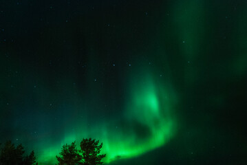 A beautiful green northern light in Karasjok, Norway