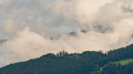 tiefhängende Wolken mit Wald