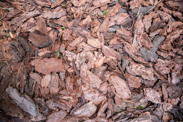 decorative bark. brown chips bark particles for ornamental garden