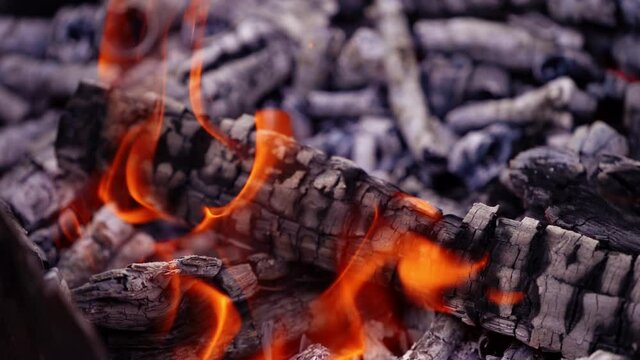 Spurts of hot red small flame fire blown with wind. Burnt wood. Power of fire. Video.