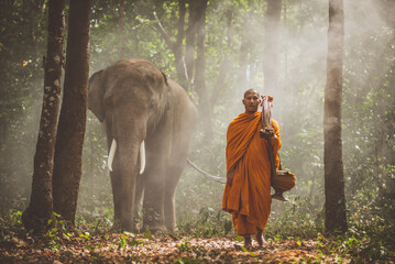 Thai monks walking in the jungle with elephants