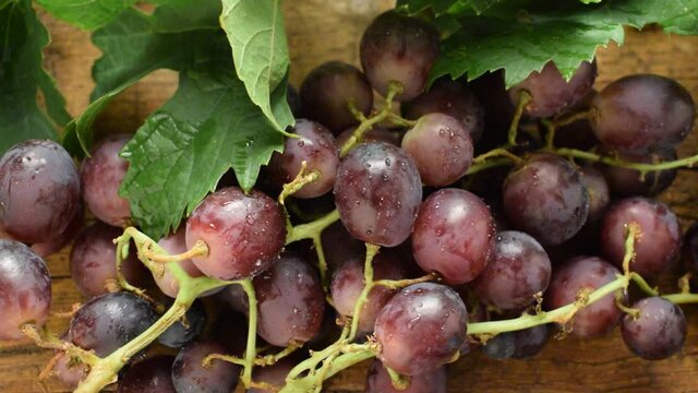 Uva da tavola ft0209_0044 Table grapes.