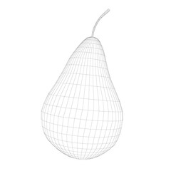 Pear wireframe isolated on white background. 3D. Vector illustration