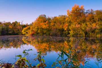 Colorful autumnal photo of a small lake, autumnal small lake with colorful trees in the background, reflections