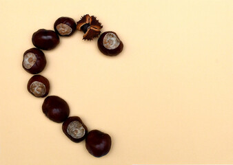 Autumn colors with creative concept. Minimal  nature seasonal concept. 