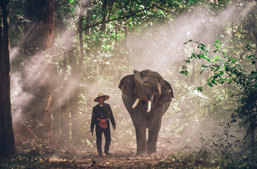 Man and his elephant in northern thailand