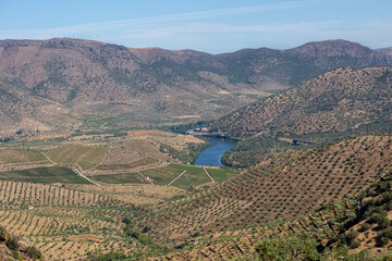 Fototapeta na wymiar View of the typical landscape of the International river Douro Park