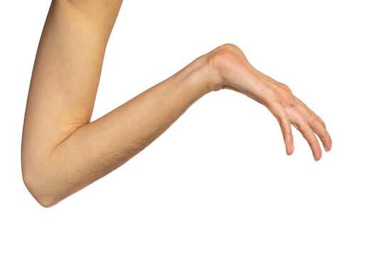 hands isolated on white background