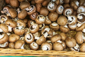 brown mushrooms champignons background Healthy food. on the shelves of a grocery hypermarket
