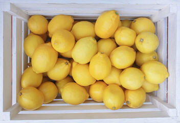 Fresh lemon without leaves. A roll of yellow fresh lemons. View from above