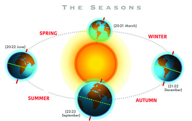 Four seasons. Seasons formation. Earth's position and distance from the sun. Spring. Vernal, autumn equinox, Winter, summer solistice. White background. Illustration vector - obrazy, fototapety, plakaty