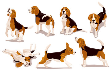 Cute cool beagle puppy set. Collection of flat dog in various poses and actions. Vector illustration of domestic pet behavior - obrazy, fototapety, plakaty