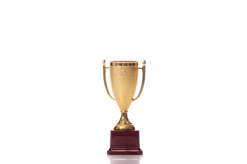 Gold winner cup trophy award with wooden base isolated on white background. Competition, games, tournament, leadership, champion prize, success, achievement, business goal, victory concept. Copy space