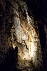 The stalagmites and stalactites of the Postojna cave, one of the largest cave systems in Slovenia