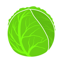 Cabbage Icon