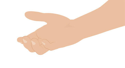 Woman hand on white background, flat design