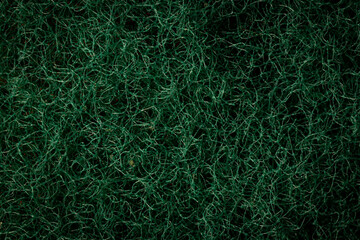 Closeup shot of a textured green grass background for wallpapers
