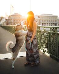 siberian husky dog playing with owner on a city bridge at sunrise © Oszkár Dániel Gáti