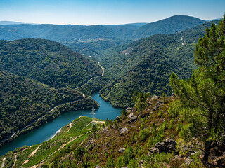 Fototapeta na wymiar Panoramic view of Duque viewpoint in Ribeira Sacra in Lugo - Galicia - Spain