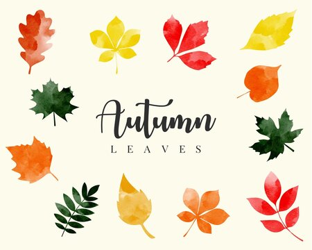 Abstract art autumn leaves fall watercolor background. Design template for logo, autumn banners for sale promotion and special offer, card, poster, publication in social media. Vector illustration.
