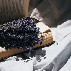 lavender and book